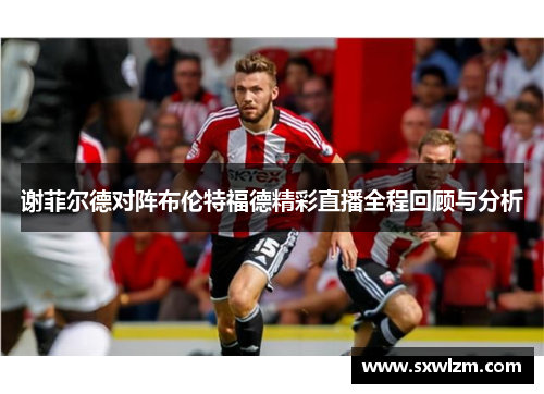 谢菲尔德对阵布伦特福德精彩直播全程回顾与分析
